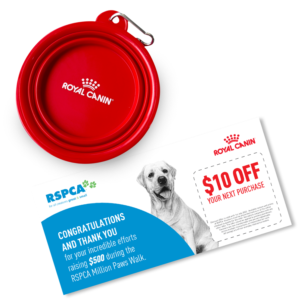 Royal Canin incentive Royal Canin incentive